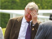 Bóng đá anh, ngoại hạng anh, lịch thi đấu euro 2012, Sốc: Sir Alex sẽ rời M.U mùa tới